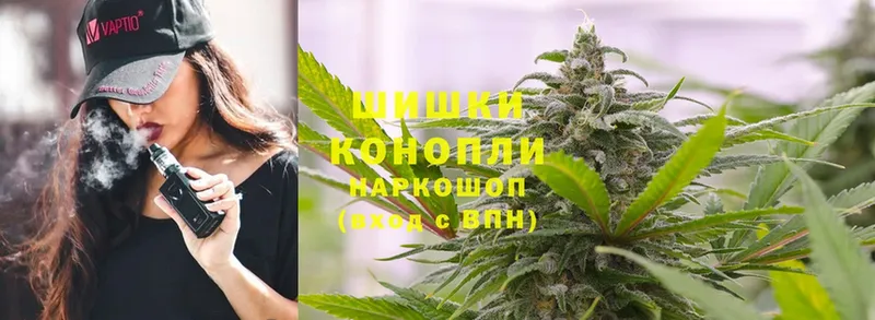 Канабис Bruce Banner  где можно купить наркотик  Болотное 